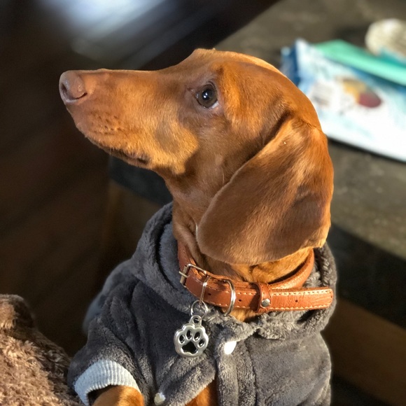 Meet your Posher, Tatyana - Picture 5 of 5